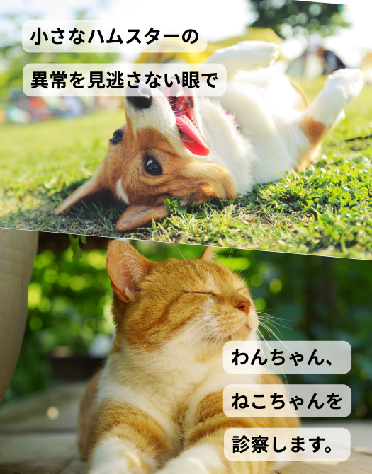 メインビジュアル2