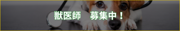 獣医師募集